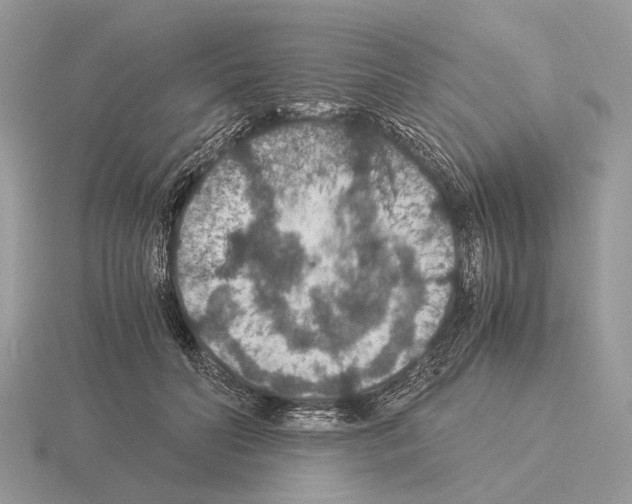 X0000115350606200912151337