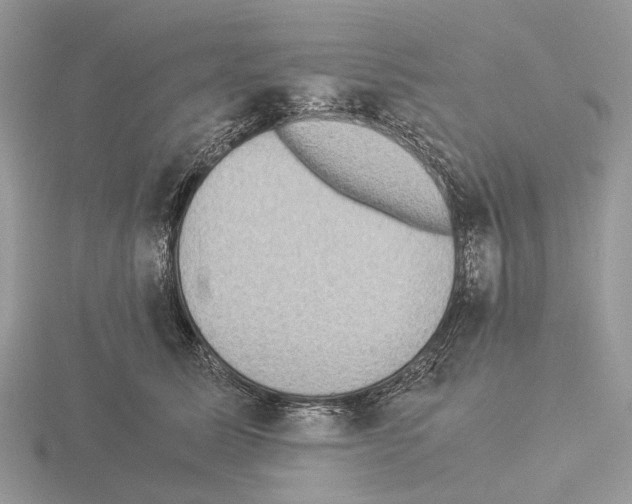 X0000115350611200912151337