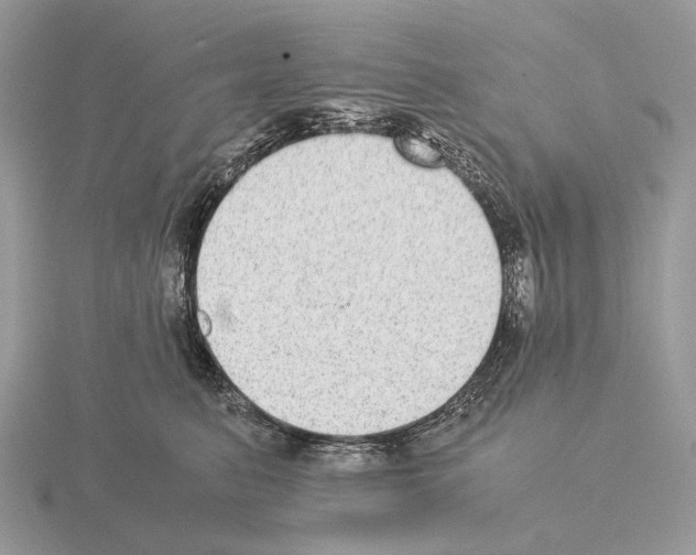 X0000115350615200912151337