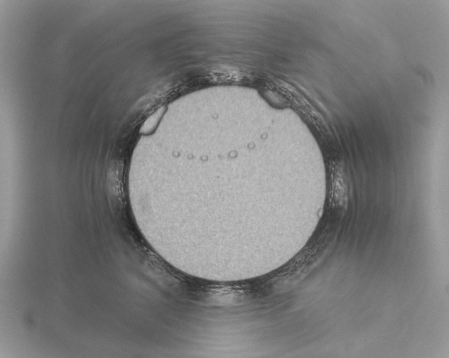 X0000115350616200912151337