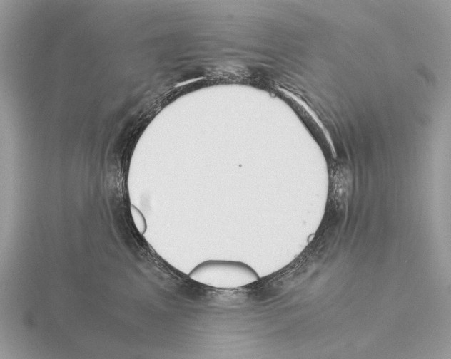 X0000115350617200912151337