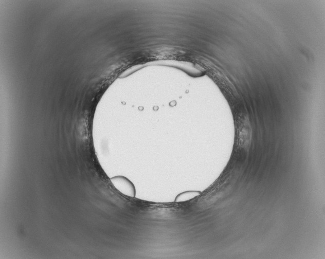 X0000115350620200912151337