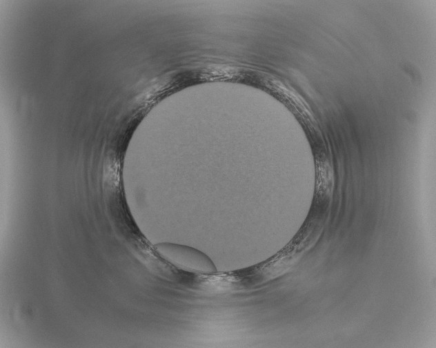 X0000115350621200912151337