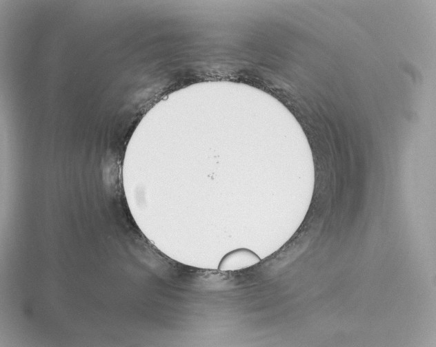 X0000115350624200912151337