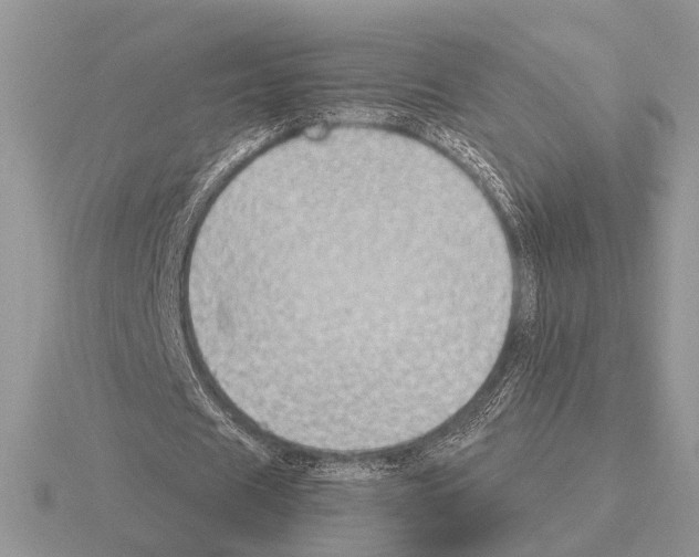 X0000115350625200912151336