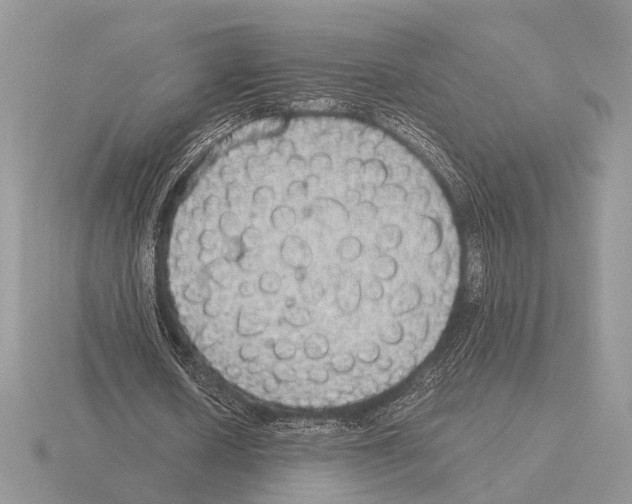 X0000115350626200912151336