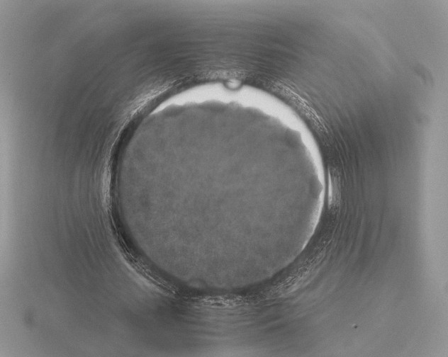 X0000115350627200912151336