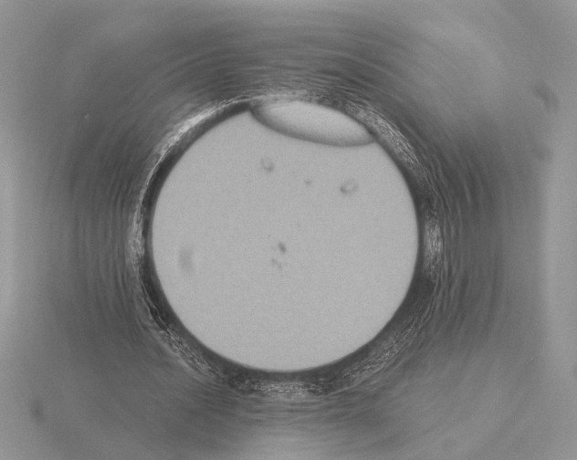 X0000115350628200912151336