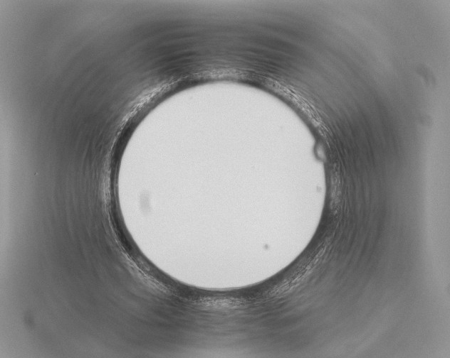 X0000115350629200912151337