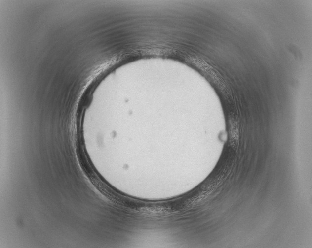 X0000115350630200912151337