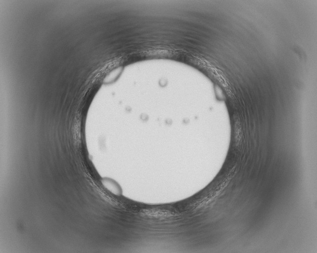 X0000115350633200912151337