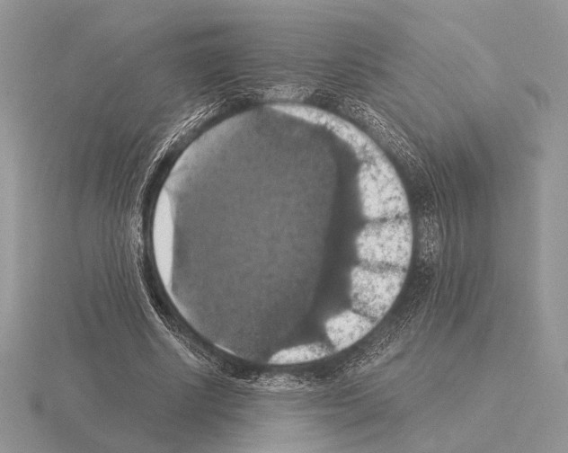 X0000115350634200912151337