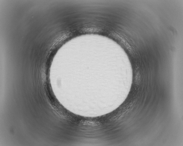 X0000115350635200912151337