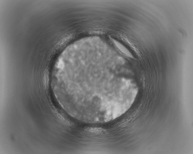 X0000115350637200912151337