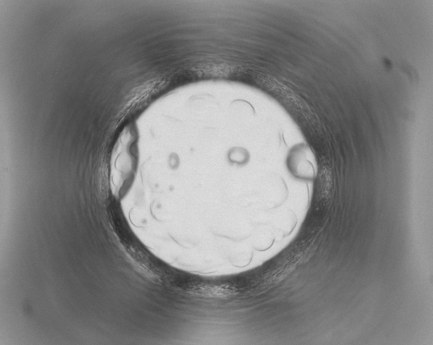 X0000115350638200912151337