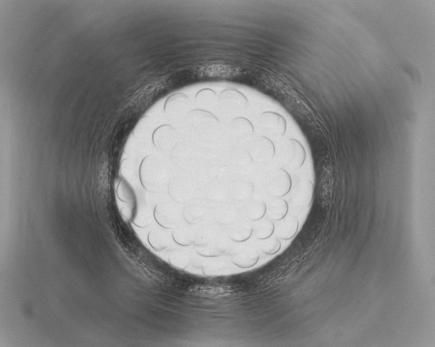 X0000115350639200912151337