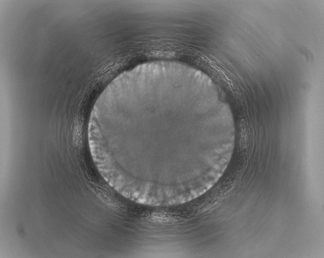 X0000115350641200912151337