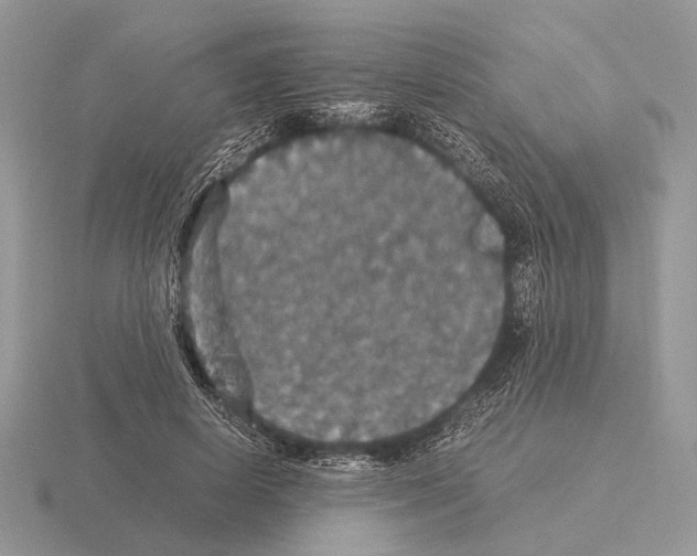 X0000115350642200912151337