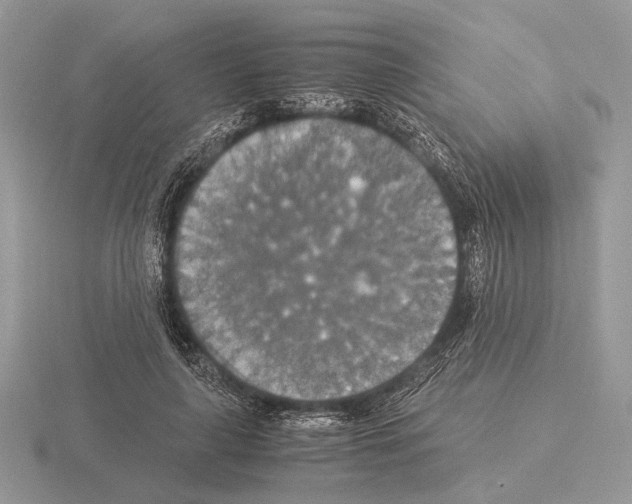 X0000115350643200912151337