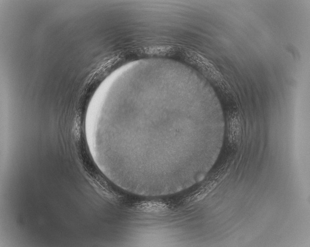 X0000115350644200912151337