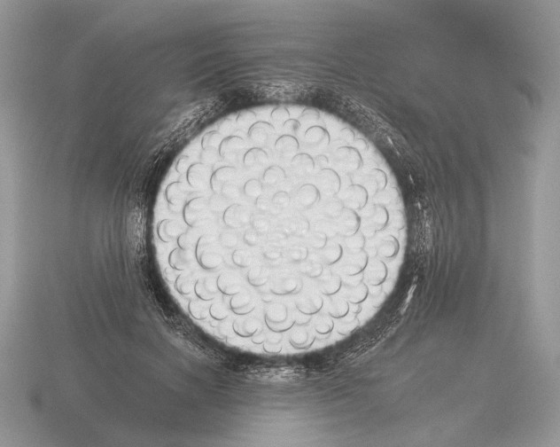 X0000115350646200912151337