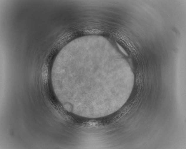 X0000115350647200912151337