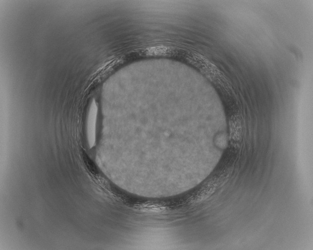 X0000115350648200912151337