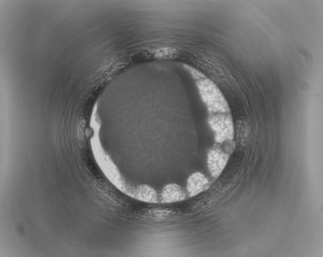 X0000115350650200912151337