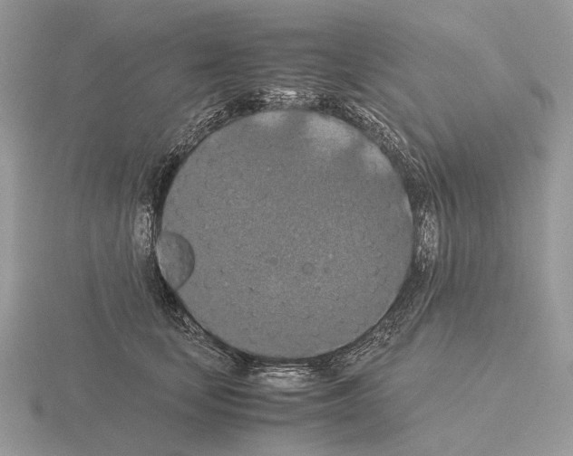 X0000115350659200912151337