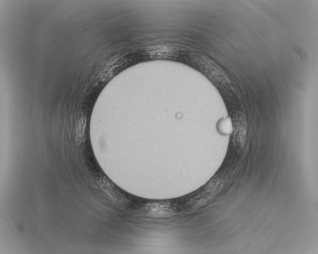 X0000115350660200912151337