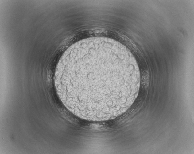 X0000115350662200912151337