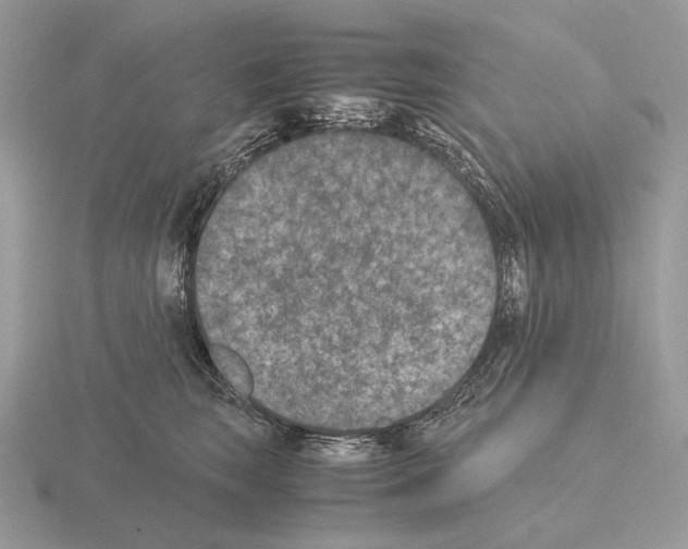 X0000115350663200912151337