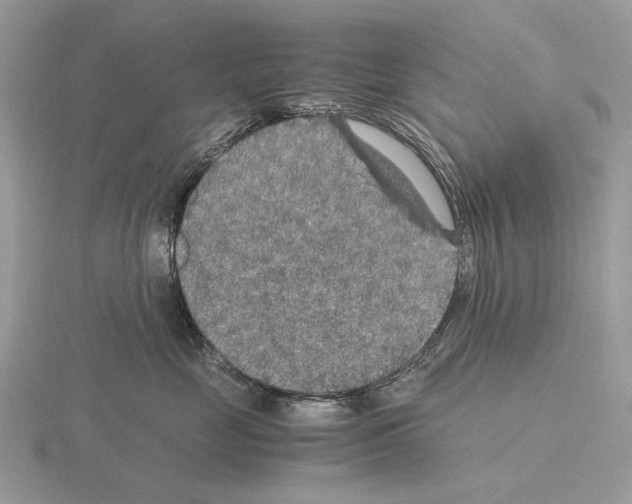 X0000115350669200912151337