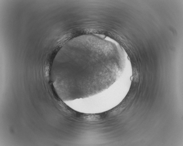 X0000115350670200912151337