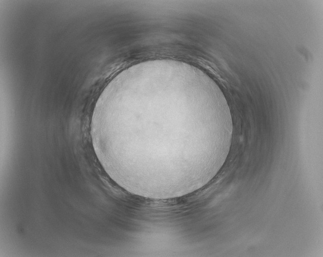 X0000115350672200912151337