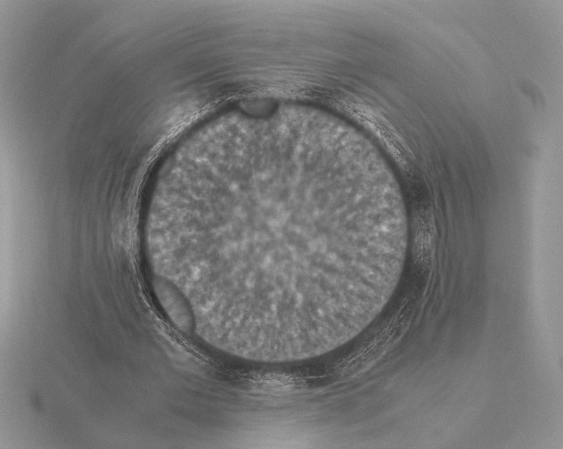 X0000115350677200912151336