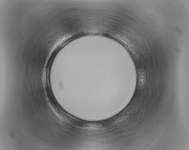 X0000115350678200912151336