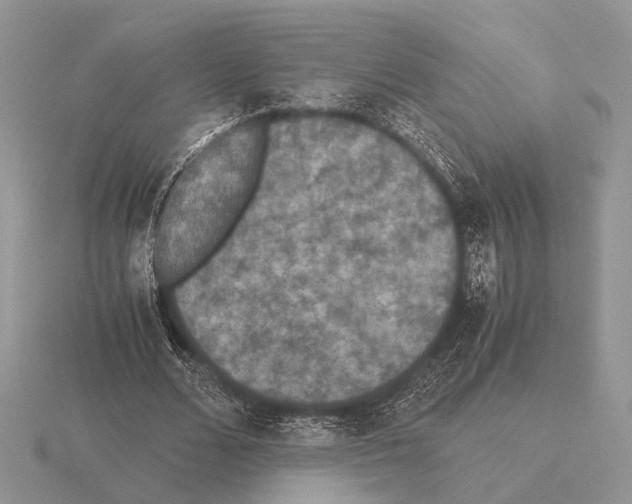 X0000115350680200912151336