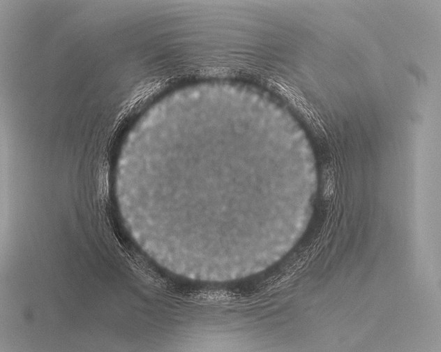 X0000115350685200912151336