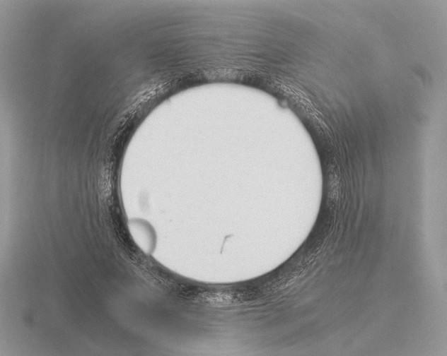 X0000115350687200912151336