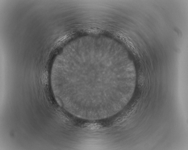 X0000115350689200912151336