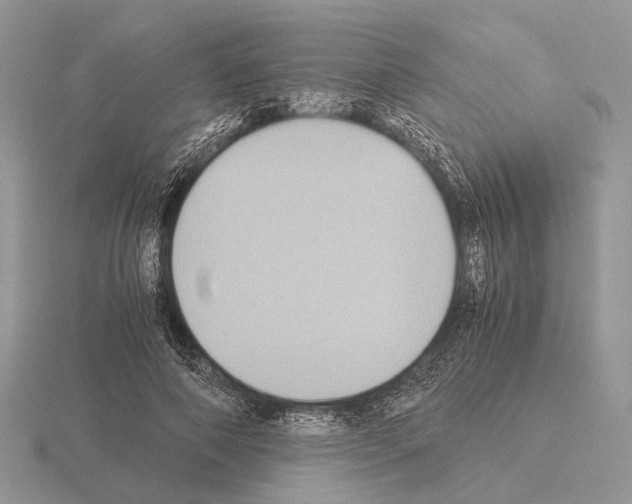 X0000115350690200912151336