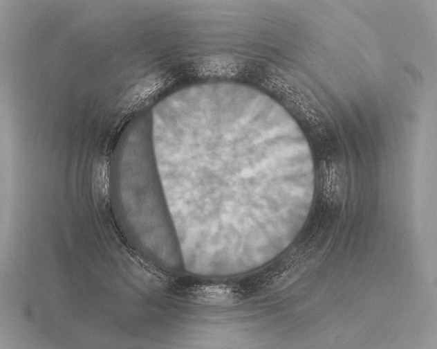 X0000115350692200912151336