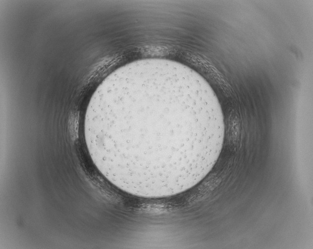 X0000115350694200912151336