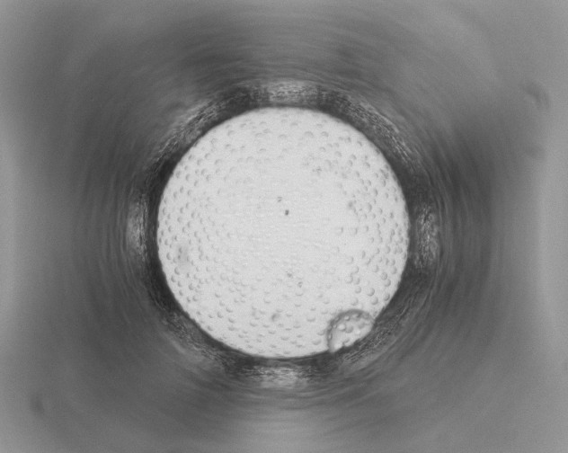 X0000115350698200912151336