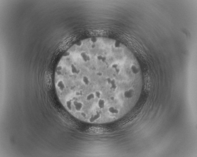 X0000115350699200912151336