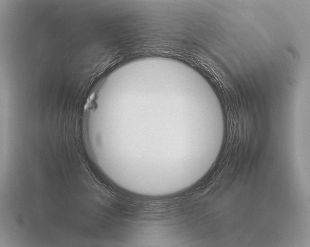 X0000115350700200912151336