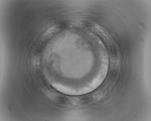 X0000115350701200912151336