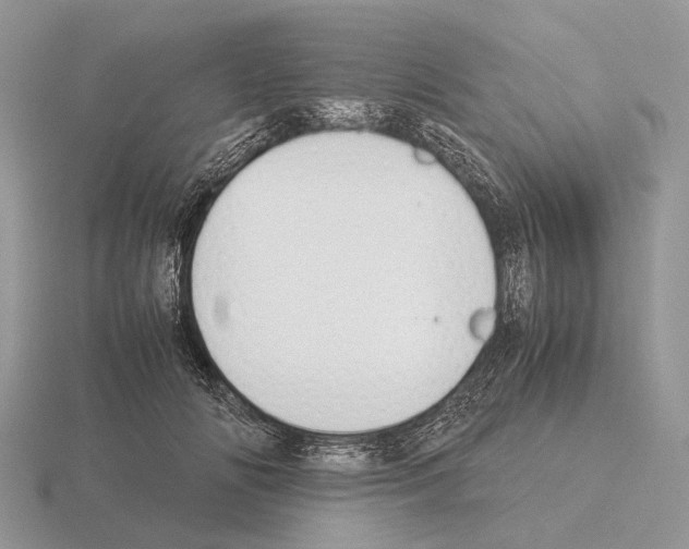 X0000115350702200912151336