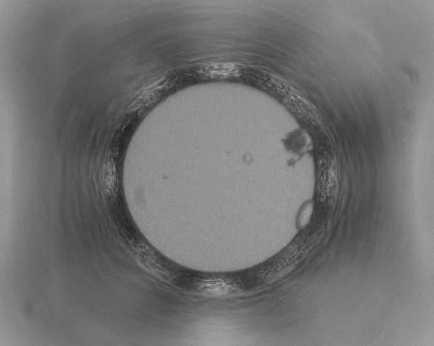 X0000115350704200912151336